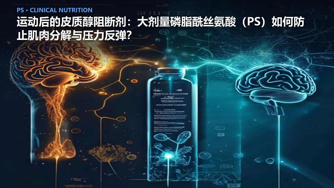 运动后的皮质醇阻断剂：大剂量磷脂酰丝氨酸（PS）如何防止肌肉分解与压力反弹？