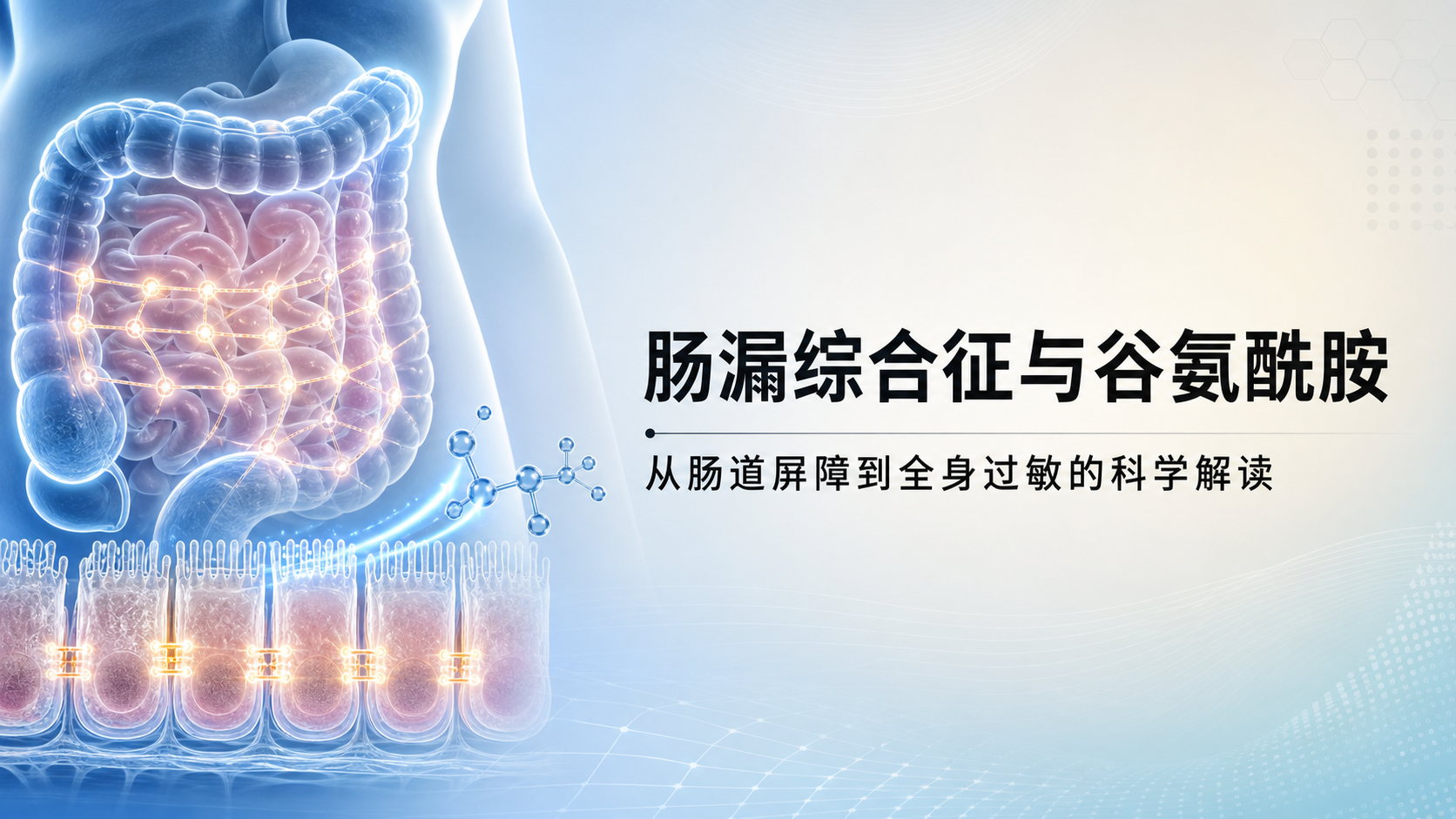 “肠漏症”与全身过敏的源头：L-谷氨酰胺（Glutamine）如何修复你的肠道屏障？