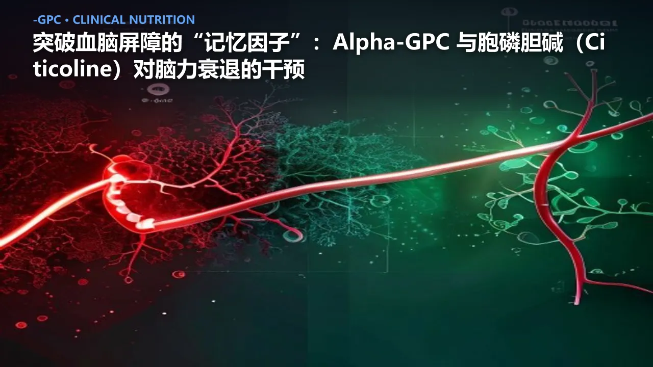 突破血脑屏障的“记忆因子”：Alpha-GPC 与胞磷胆碱（Citicoline）对脑力衰退的干预